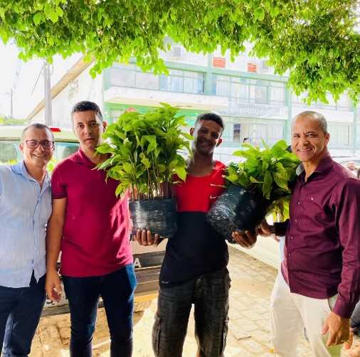 Camacã: Prefeitura chega a marca de 35 mil mudas de Cacau distribuídas para pequenos agricultores
